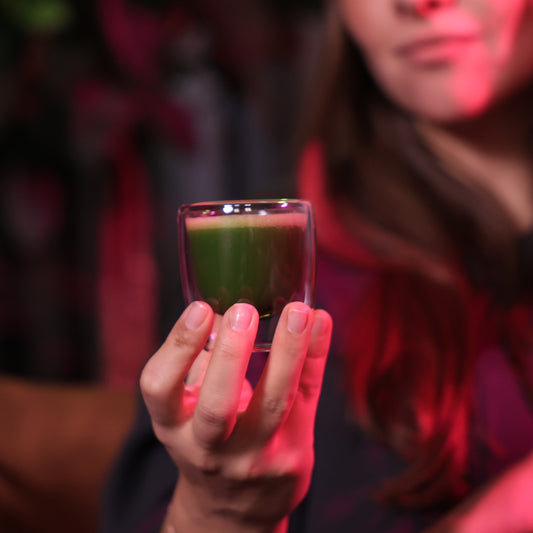 ZOI Matcha Té Ceremonial Japonés